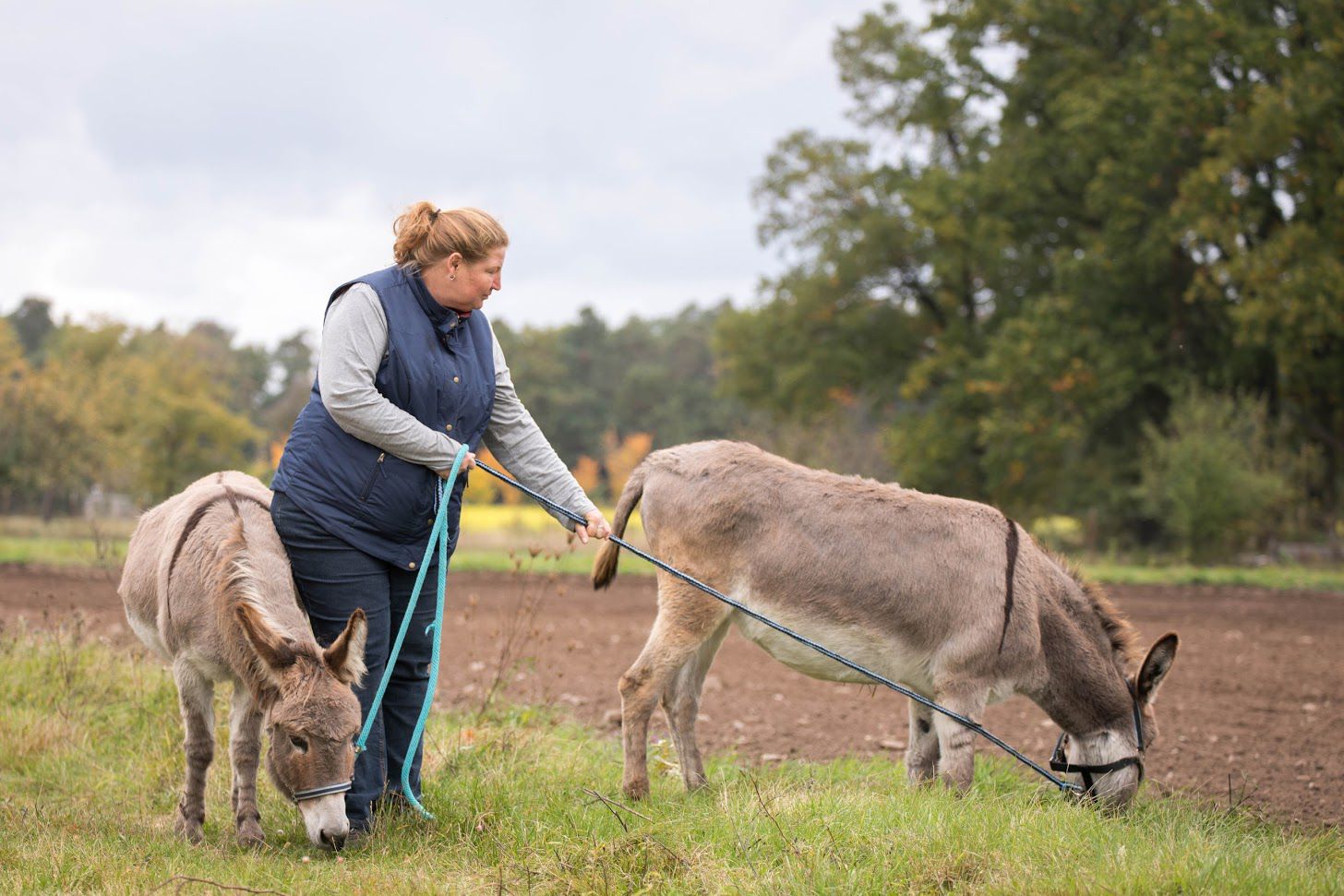 Die Esel Milli und Sternchen