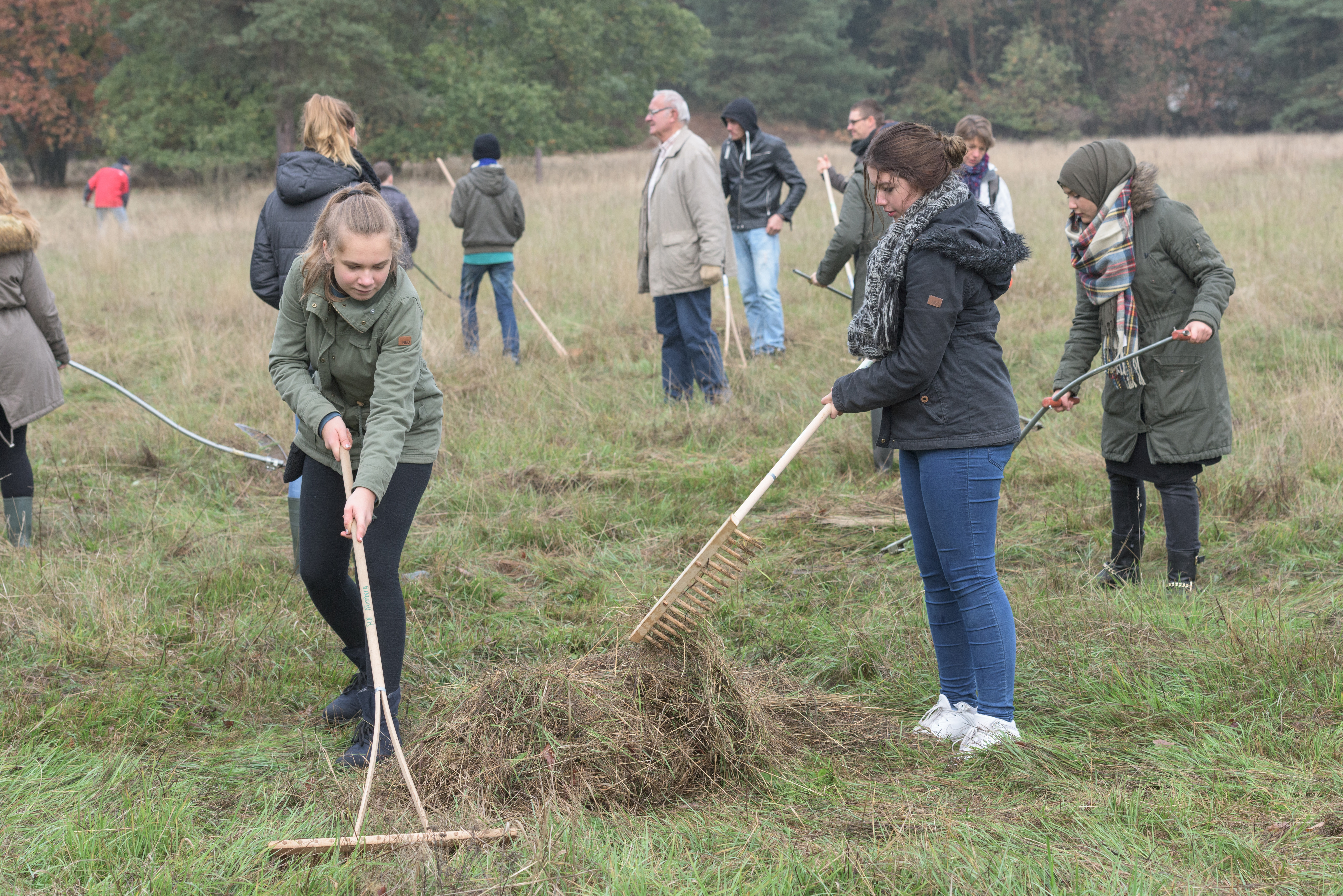 Umweltaktionstag 2015