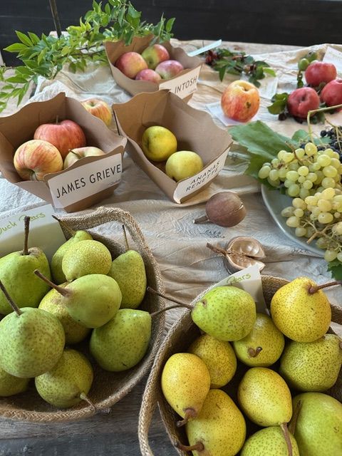 Birnen (Foto: Gerd Meyer) Birnen