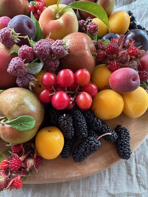 Obstteller (Foto: Gerd Meyer) Obstteller