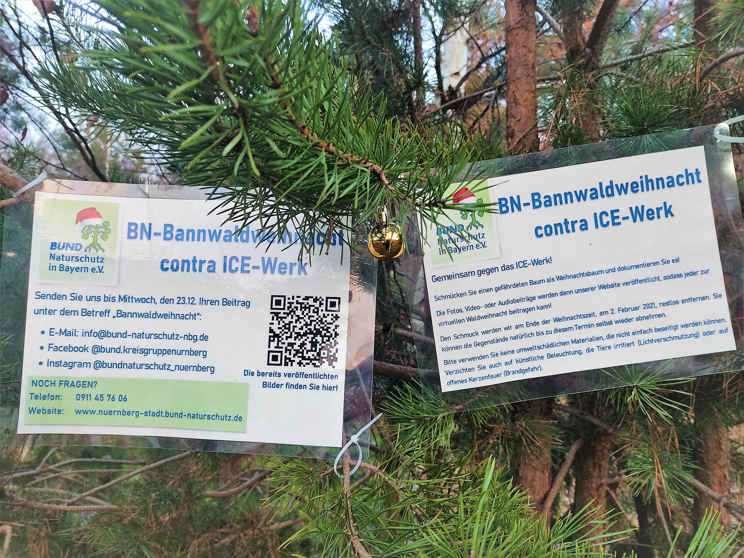 Bannwaldweihnacht